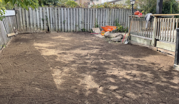 Screenshot 2025-03-11 at 11.31.36 PM